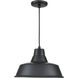 R Series 1 Light 14 inch Satin Black Indoor Pendant Ceiling Light